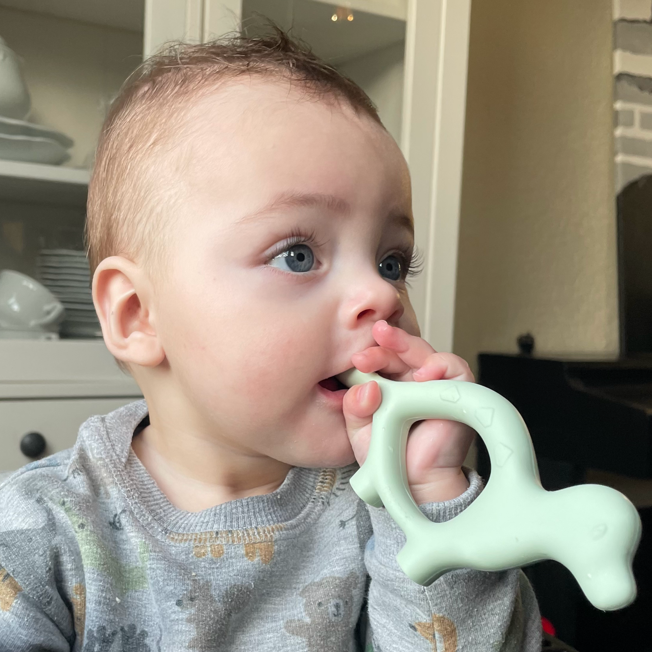 Dev de Dino - Helpt je kleintje veilig 'leren' eten