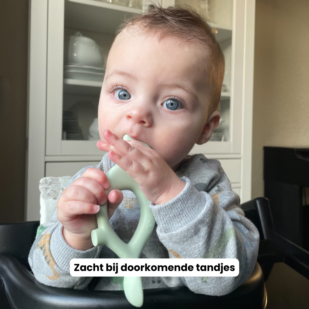Dev de Dino - Zelf leren eten, zonder zorgen